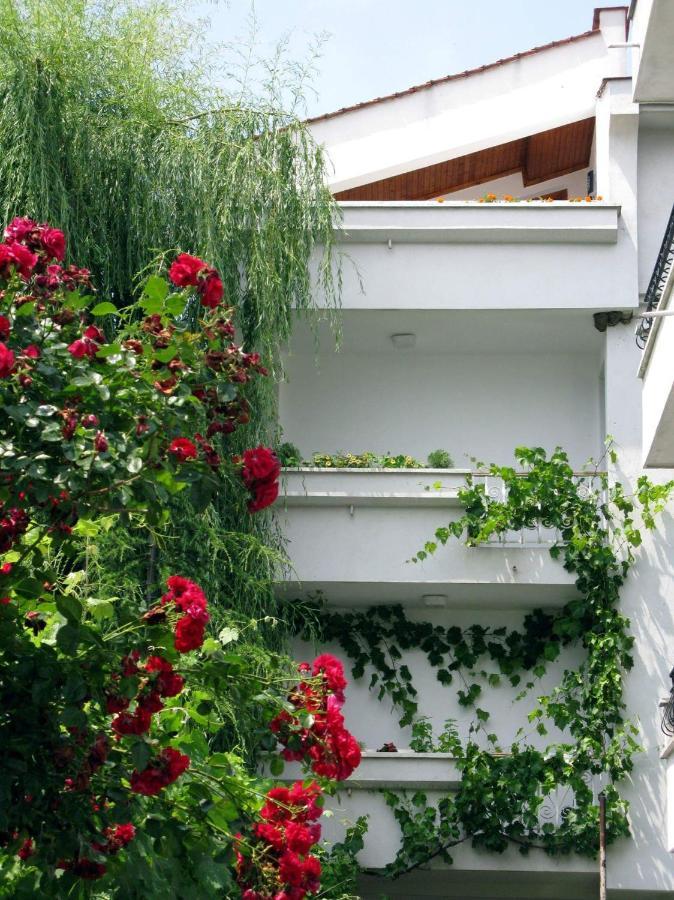 Guest House Barbov Obzor Bagian luar foto