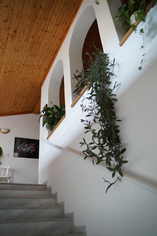Guest House Barbov Obzor Bagian luar foto