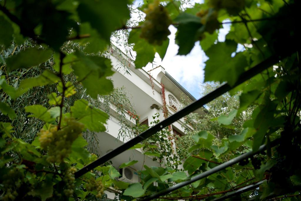 Guest House Barbov Obzor Bagian luar foto