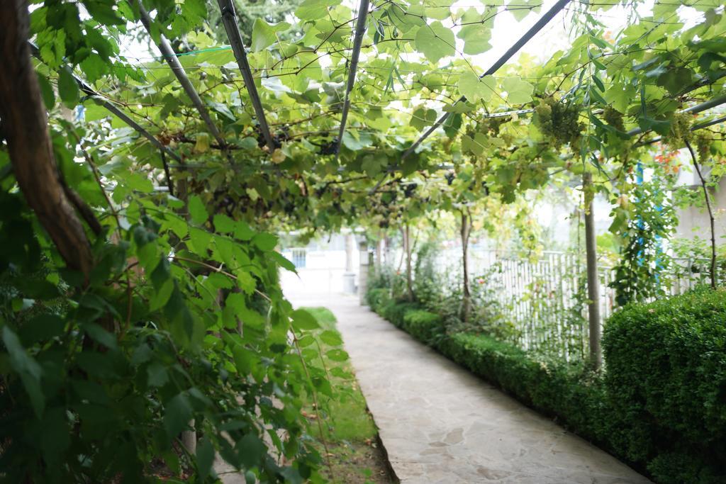 Guest House Barbov Obzor Bagian luar foto