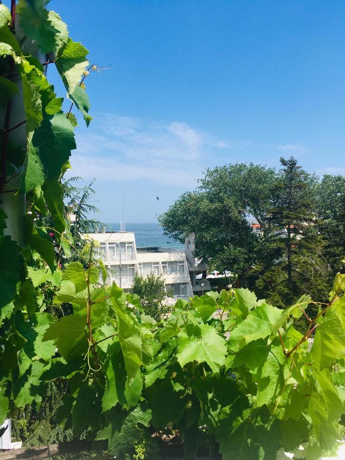 Guest House Barbov Obzor Bagian luar foto