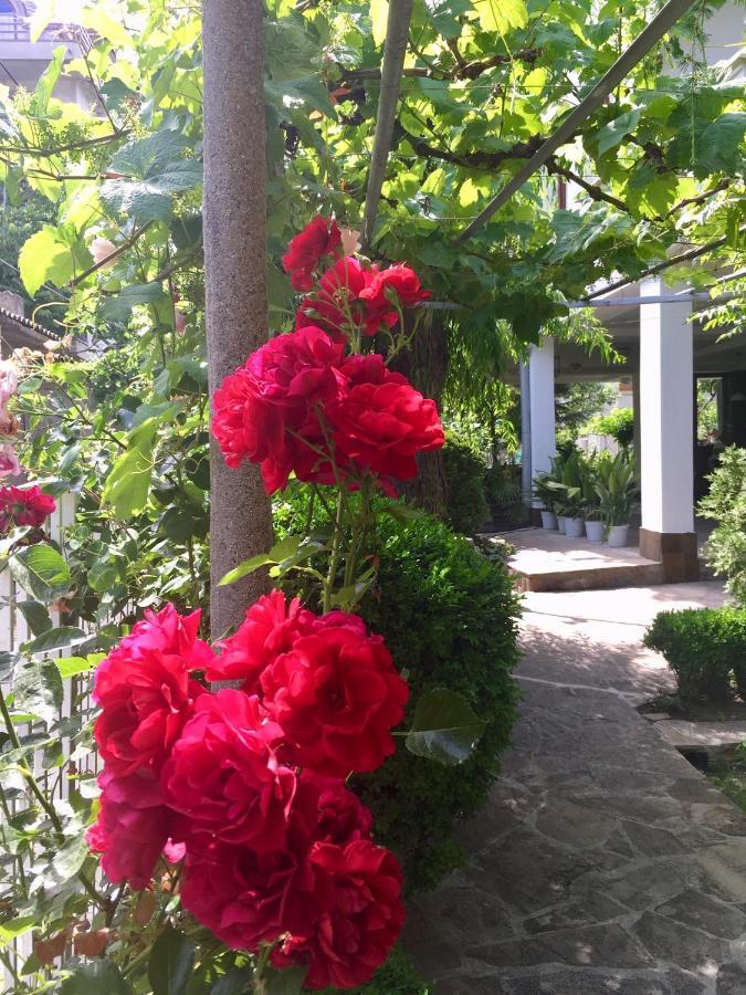 Guest House Barbov Obzor Bagian luar foto