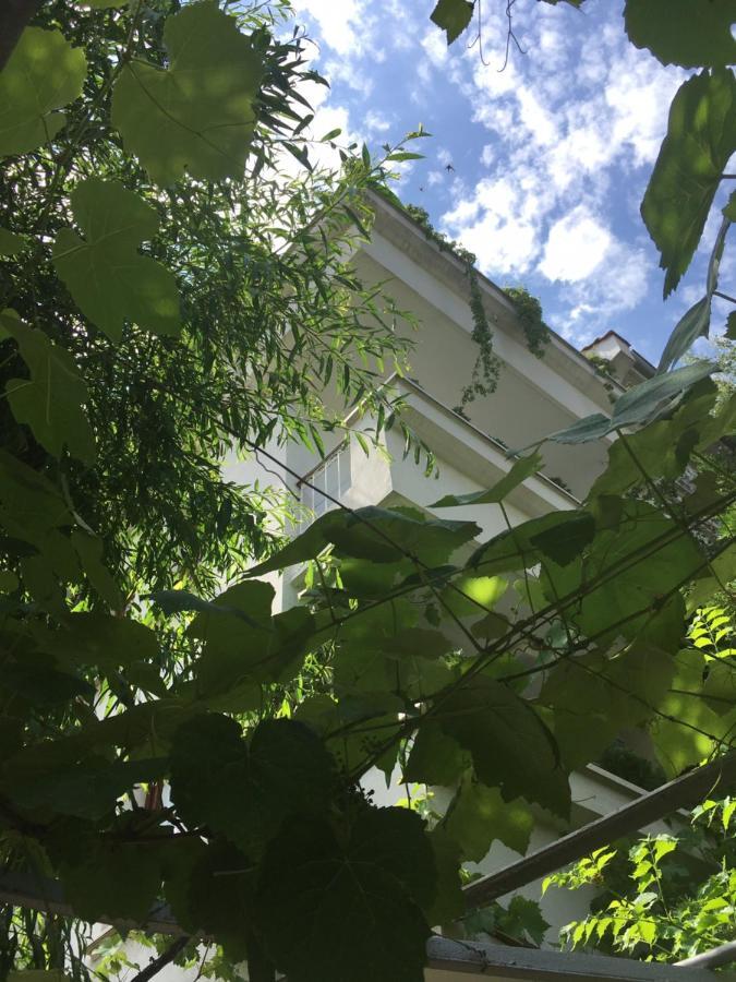 Guest House Barbov Obzor Bagian luar foto