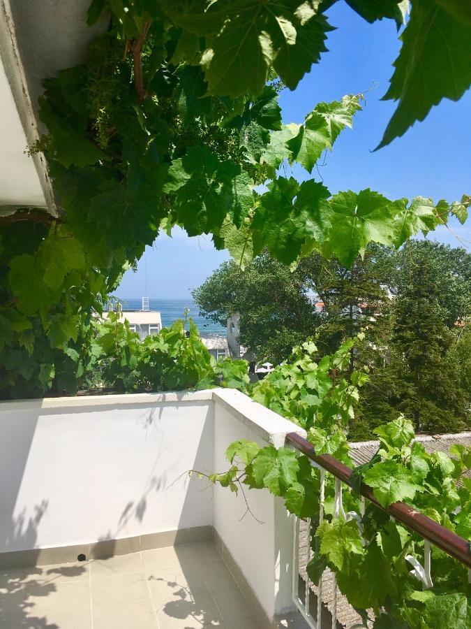 Guest House Barbov Obzor Bagian luar foto