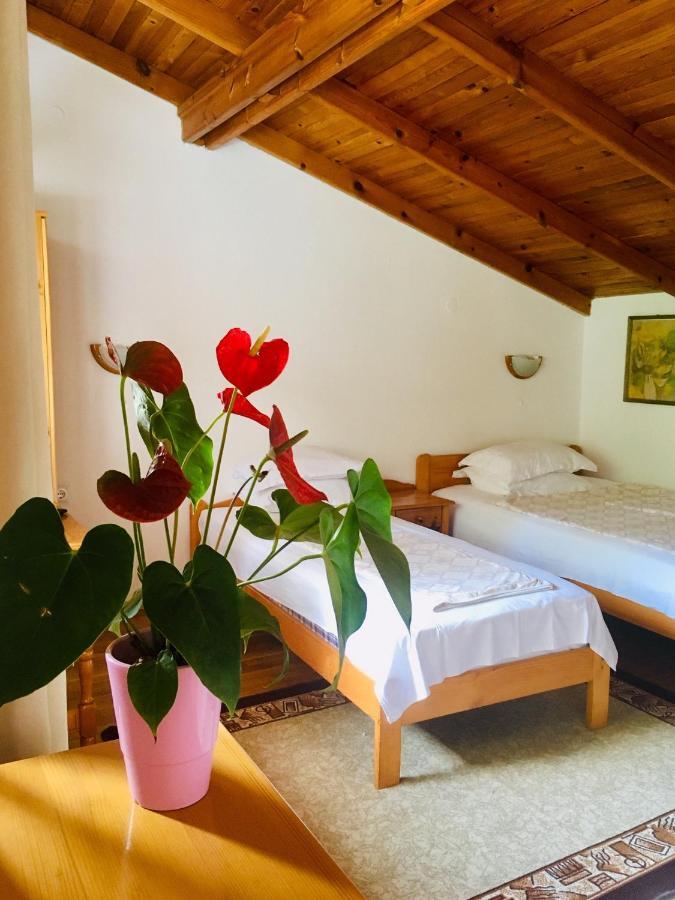 Guest House Barbov Obzor Bagian luar foto